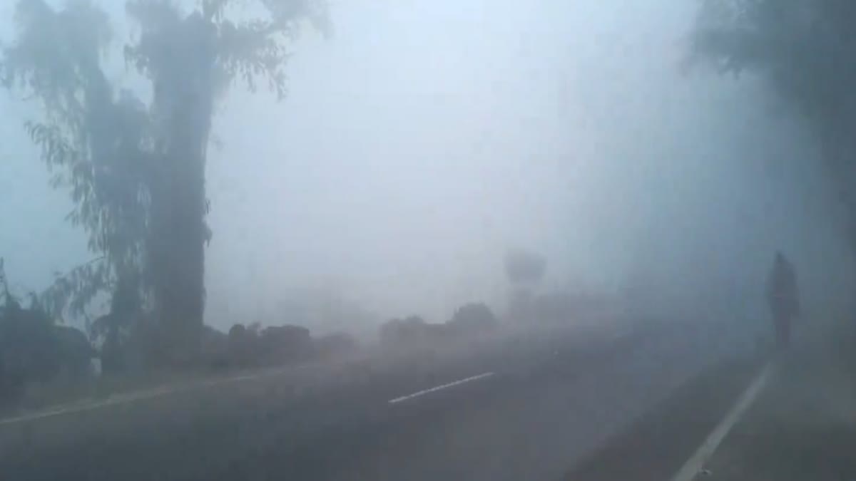 घने कोहरे और शीतलहर का असर: उधम सिंह नगर में आंगनबाड़ी से 12वीं तक सभी स्कूल बंद, आदेश न मानने पर होगी कार्रवाई ।