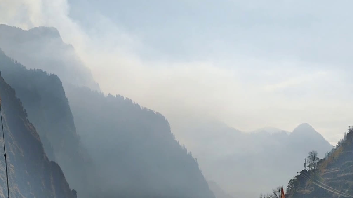 चमोली में सर्दियों में भी धधकी जंगल की आग: नंदा देवी राष्ट्रीय पार्क से हापला क्षेत्र तक दावानल, वन्यजीव व पर्यटक प्रभावित ।