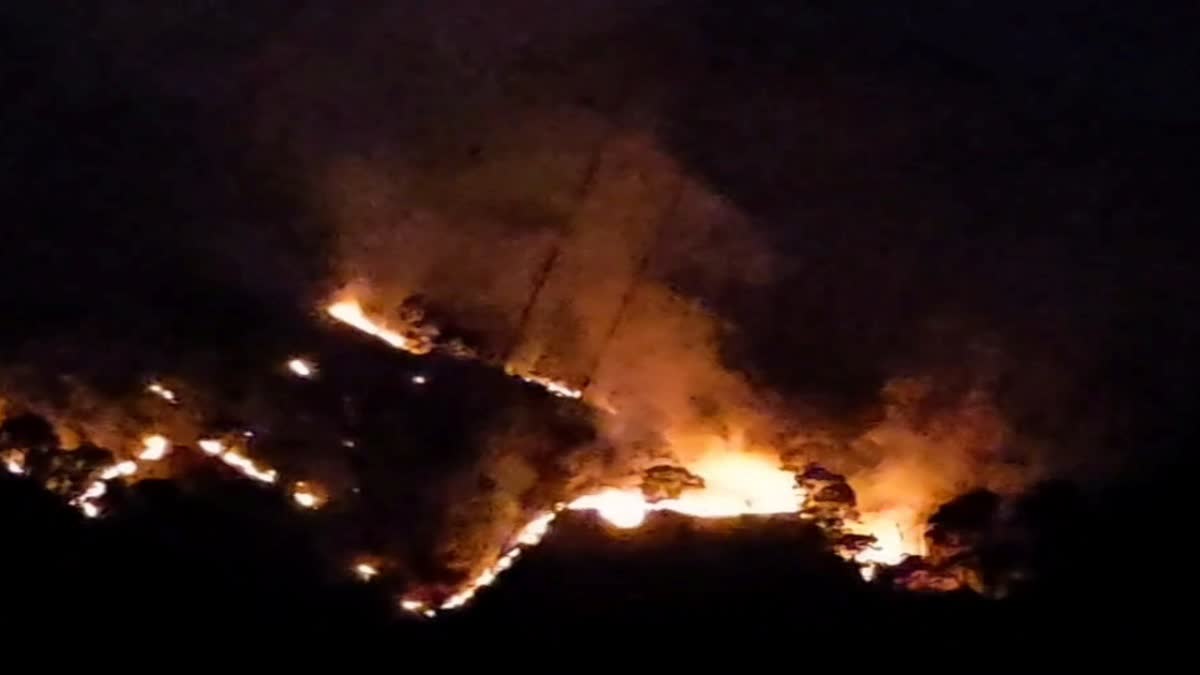 रामनगर: सल्ट क्षेत्र के जंगल में सर्दियों में भीषण आग, एक हेक्टेयर से अधिक वन क्षेत्र प्रभावित