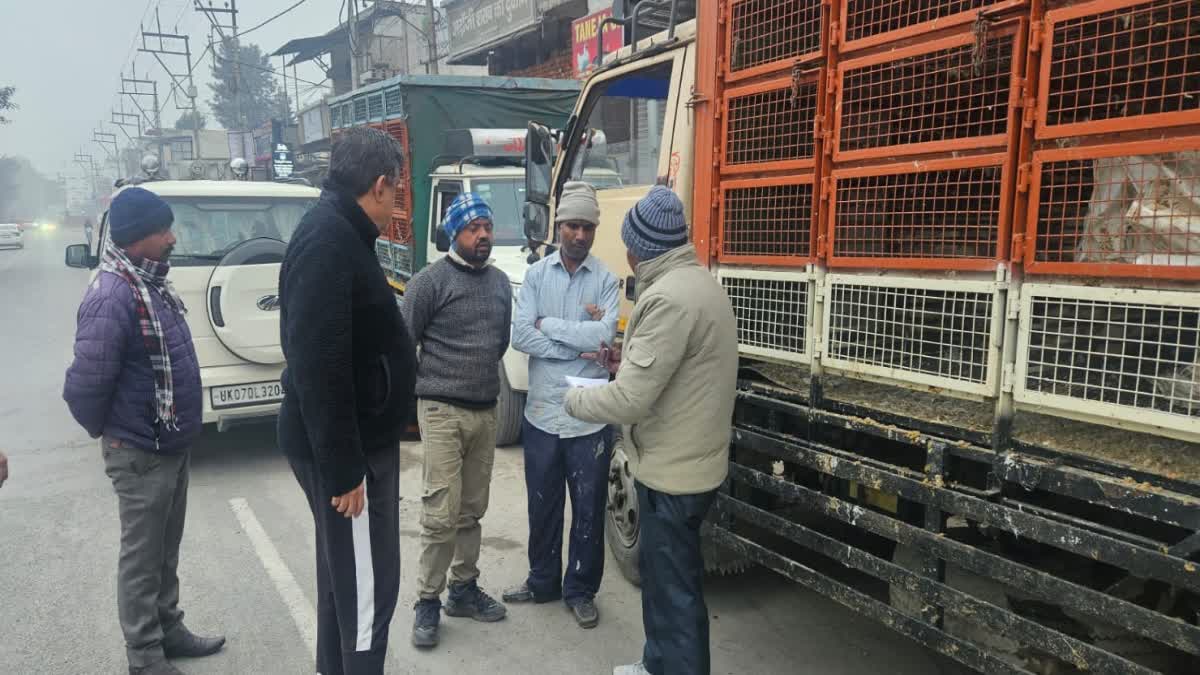 देहरादून में मृत मुर्गों की सप्लाई का खुलासा, नगर निगम की कार्रवाई से हड़कंप