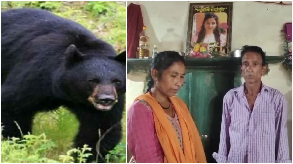 श्रीनगर: सीएम से मुलाकात के बाद गांव लौट रहे अंकिता भंडारी के माता-पिता का भालू से सामना, बाल-बाल बचे