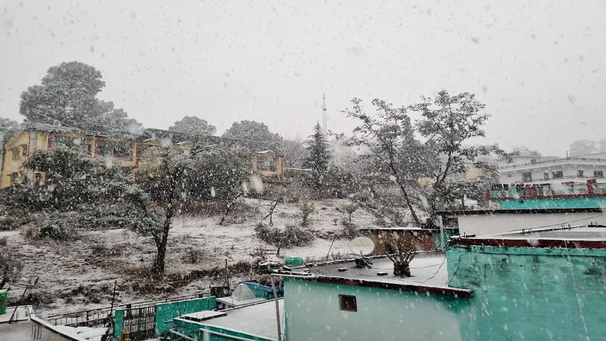 गैरसैंण में मौसम की पहली बर्फबारी, सफेद चादर में लिपटा नगर, काश्तकारों के चेहरे खिले