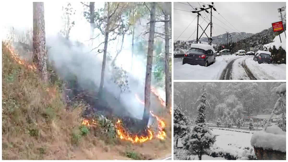 उत्तराखंड में बारिश-बर्फबारी से वनाग्नि अलर्ट शून्य, AQI में भी बड़ा सुधार
