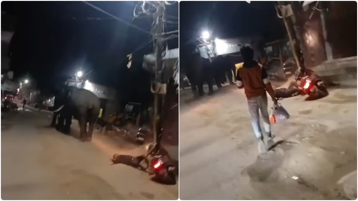 हरिद्वार: गार्डन कॉलोनी में घुसे जंगली हाथी, घबराए स्कूटी सवार का खंभे से टकराकर गिरा वाहन; बड़ा हादसा टला