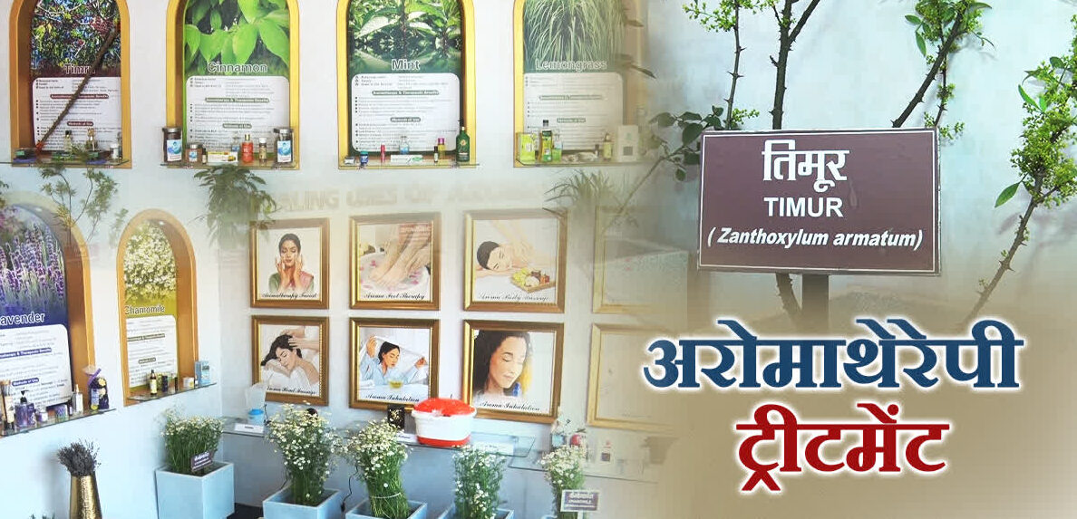 देहरादून: आयुष को बढ़ावा देने की दिशा में बड़ा कदम, सगंध पौध केंद्र शुरू करेगा मॉडर्न अरोमाथेरेपी ट्रेनिंग