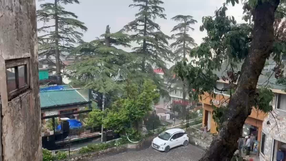 मसूरी/देहरादून: बारिश और ओलावृष्टि से बदला मौसम, गर्मी से राहत—किसानों की बढ़ी चिंता