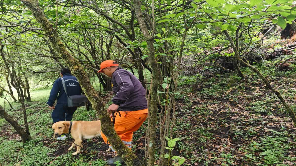 दयारा बुग्याल में लापता युवती का चौथे दिन भी नहीं मिला सुराग, ट्रेकिंग एजेंसी का पंजीकरण निरस्त