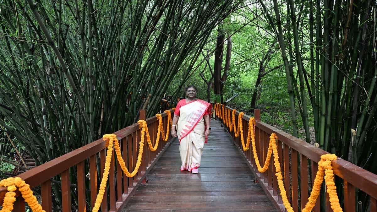 राष्ट्रपति मुर्मू के ड्रीम प्रोजेक्ट पर तेज़ी से काम, नवंबर तक तैयार होगा देहरादून का राष्ट्रपति उद्यान