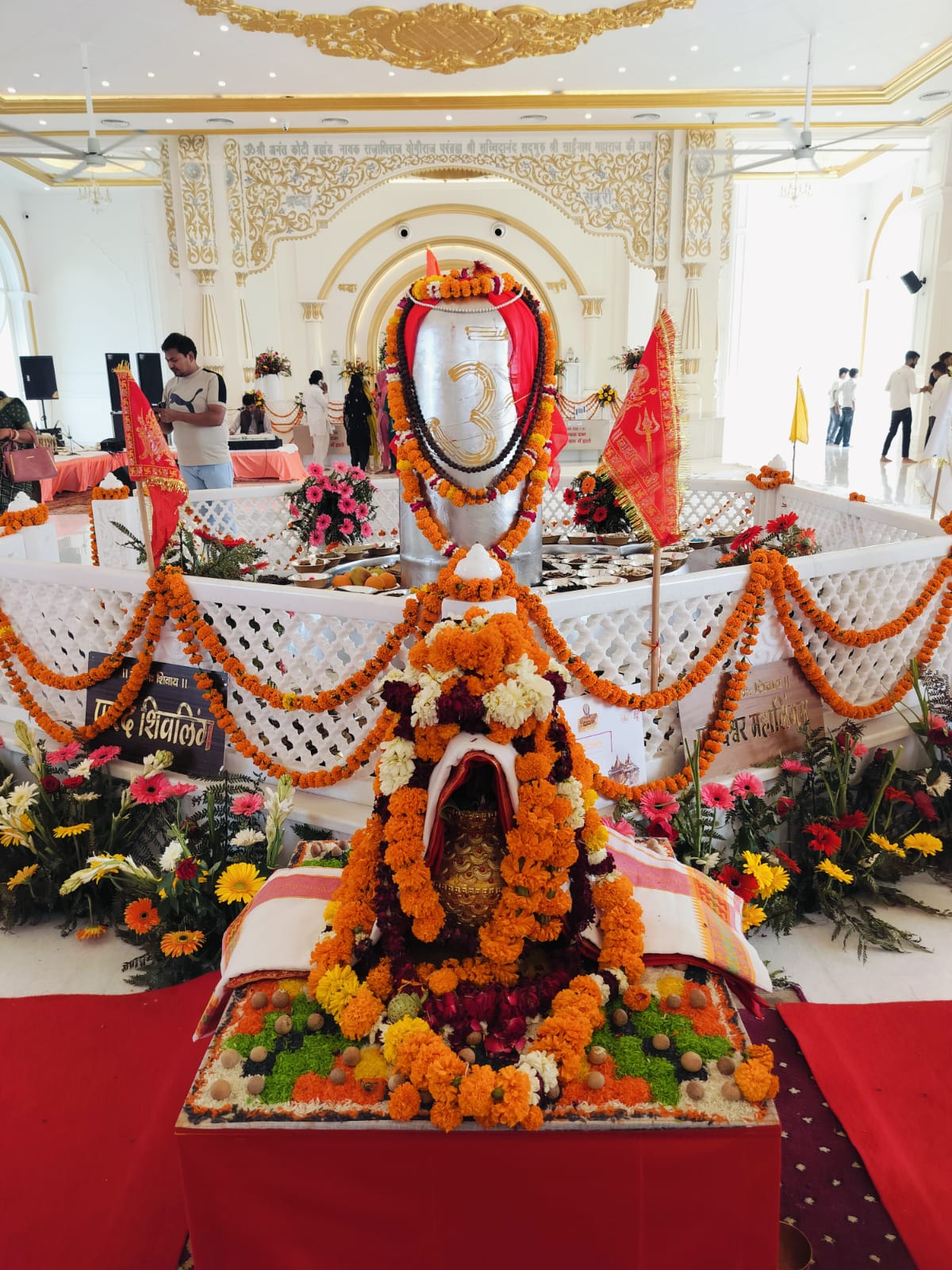 हरिद्वार में विश्व के सबसे बड़े 5211 किलो वजनी पारदेश्वर महादेव की प्राण प्रतिष्ठा, लिम्का और एशियन बुक ऑफ रिकॉर्ड में दर्ज हुआ नाम ।
