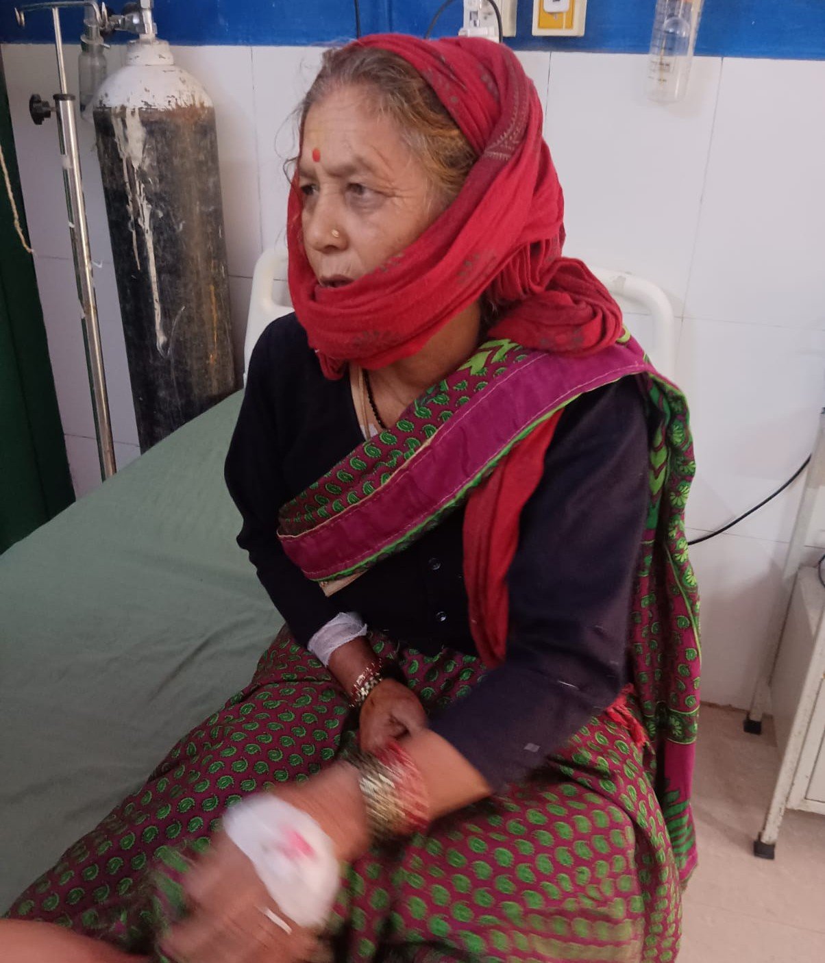 रुद्रप्रयाग में गुलदार से भिड़ी 65 वर्षीय महिला: दरांती से किया पलटवार, बहादुरी से बचाई अपनी जान ।
