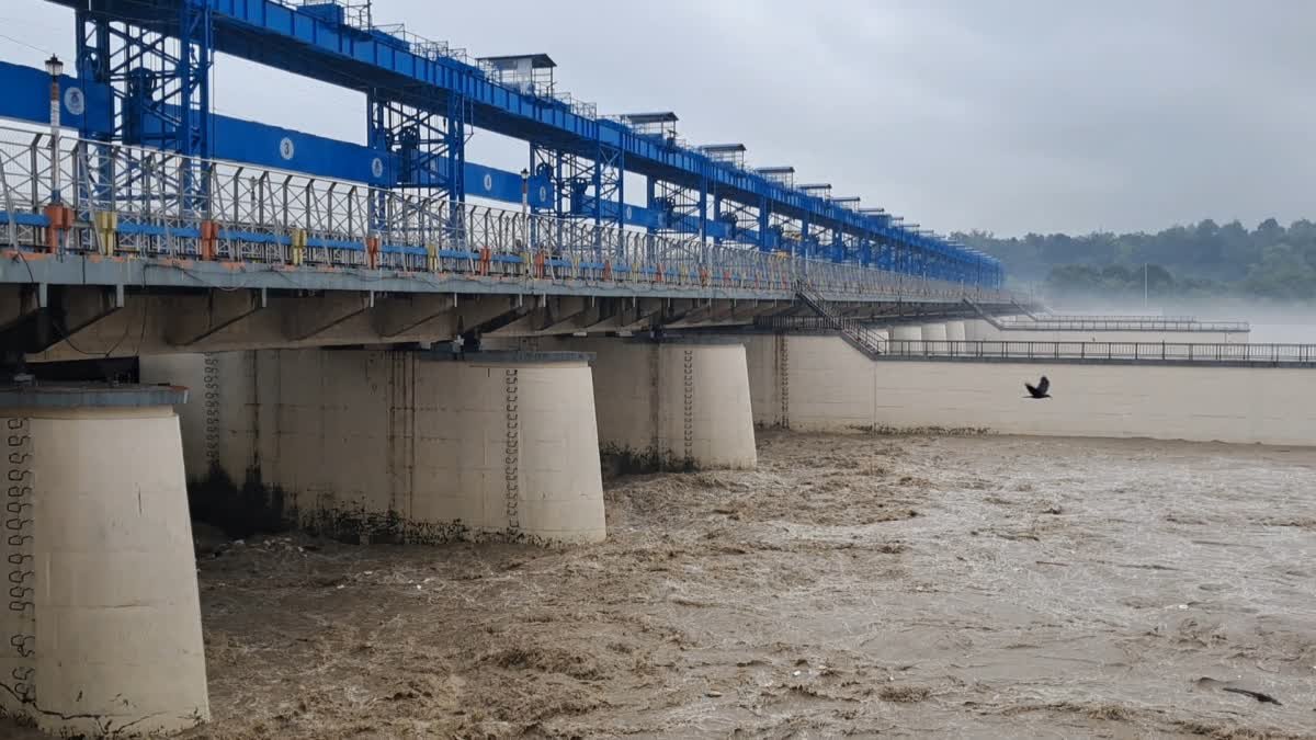 हरिद्वार में मूसलाधार बारिश से जलभराव, लेकिन कांवड़ यात्रा जारी; भीमगोड़ा बैराज पर गंगा चेतावनी निशान से 25 सेंटीमीटर नीचे